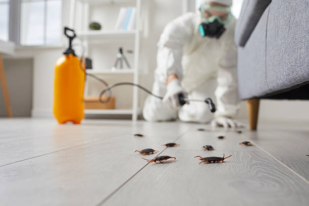 Trusted Emergency Pest Control service in Green Cove Springs, FL - Nex Pest Control